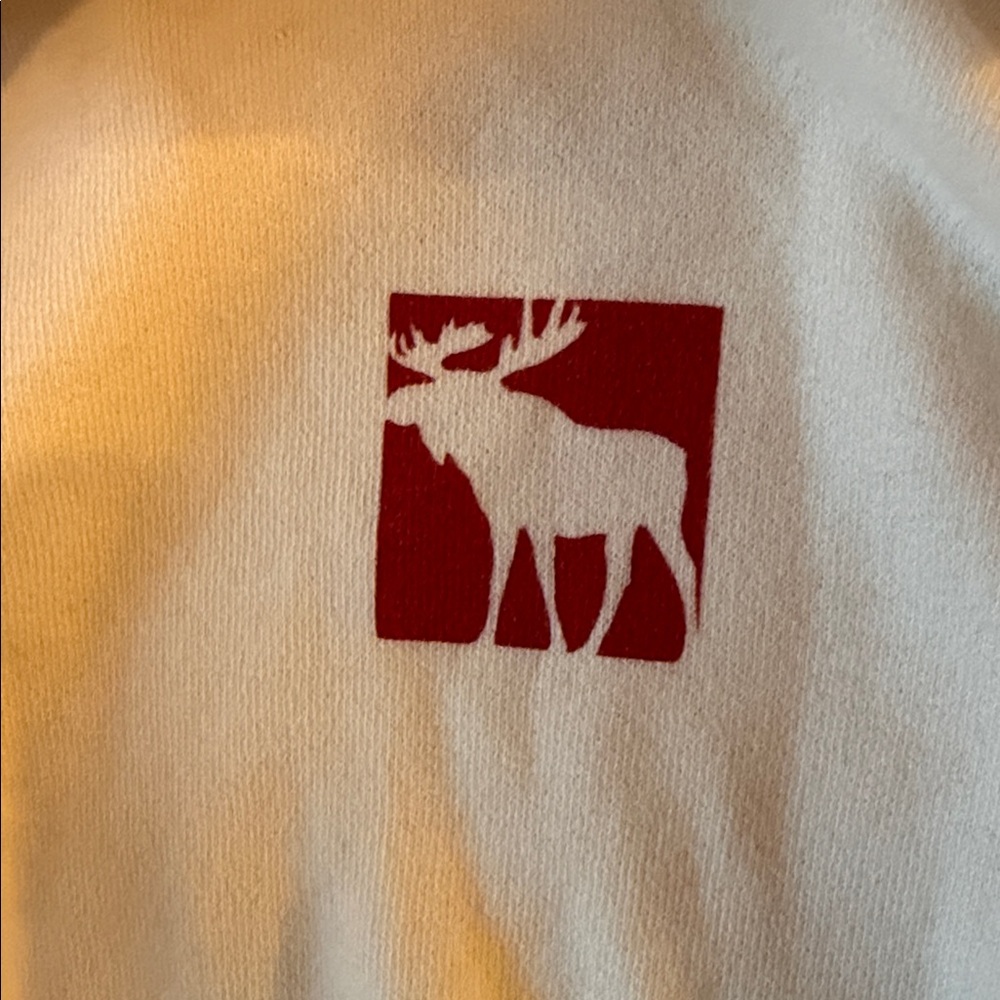 Abercrombie & Fitch White Hoodie with Red Logo and Blue Text - Picture 3 of 4